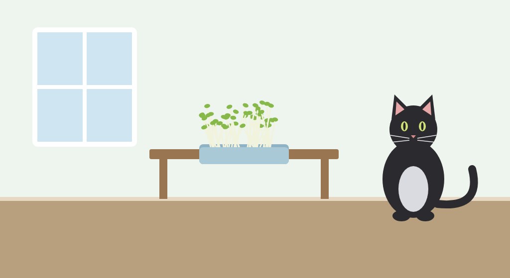Illustrated black cat sitting near a tray of alfalfa sprouts on a table