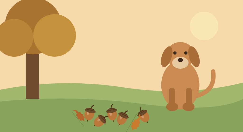 Can Dogs Eat Acorns? Why Oak Nuts Are a Vet Call