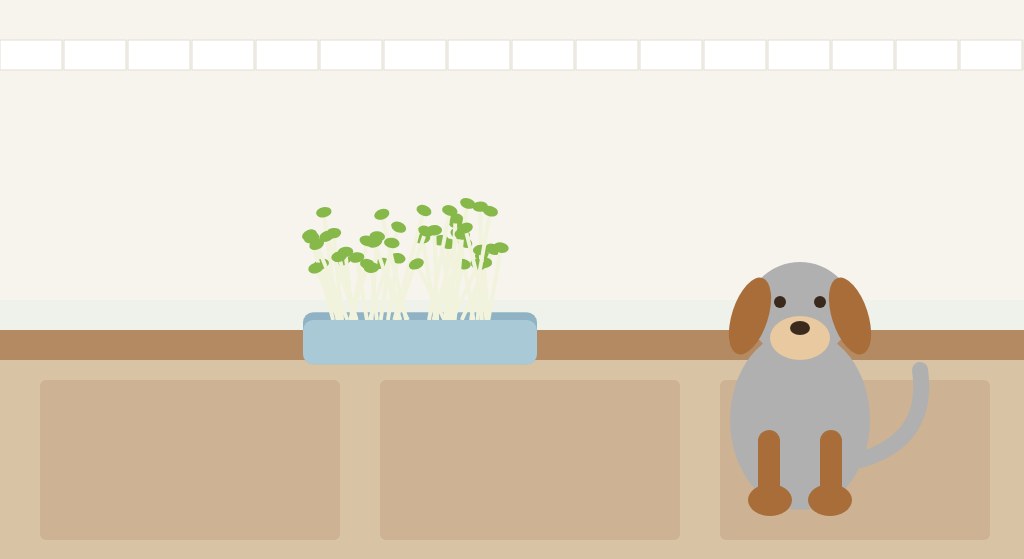 Illustrated dog sitting below a kitchen counter with a tray of alfalfa sprouts