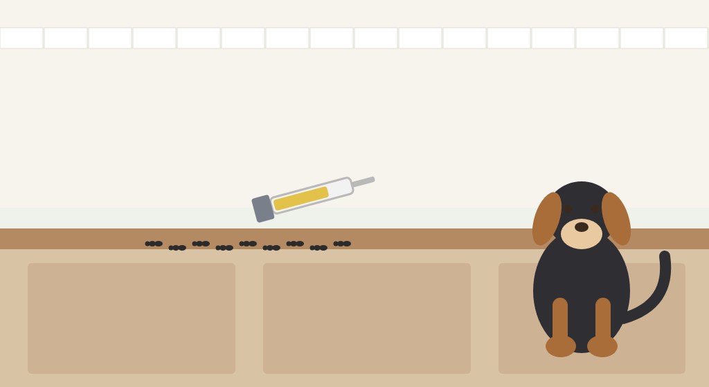 Flat illustration of a dog below a kitchen counter with a line of ants and an ant gel syringe