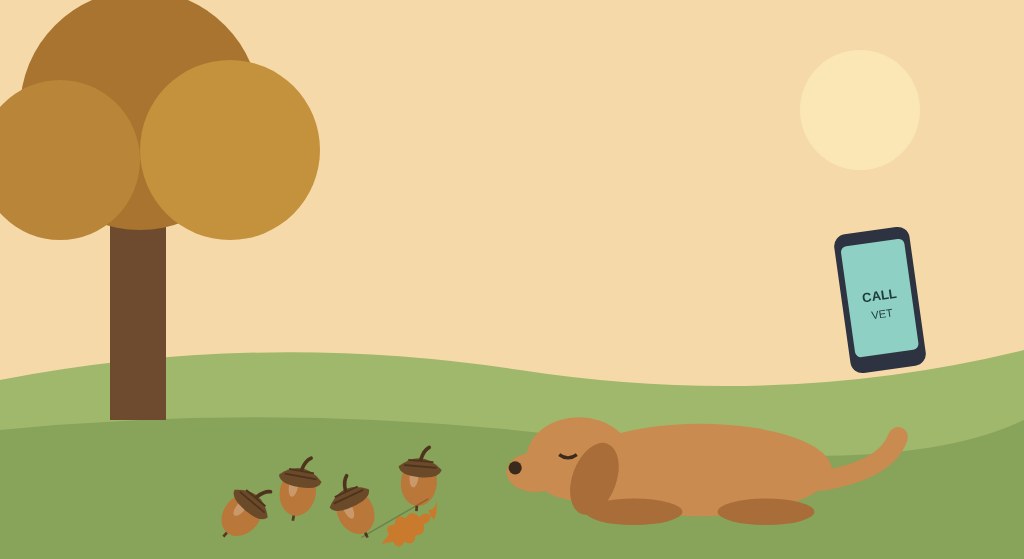 My Dog Ate Acorns: What to Do Right Now